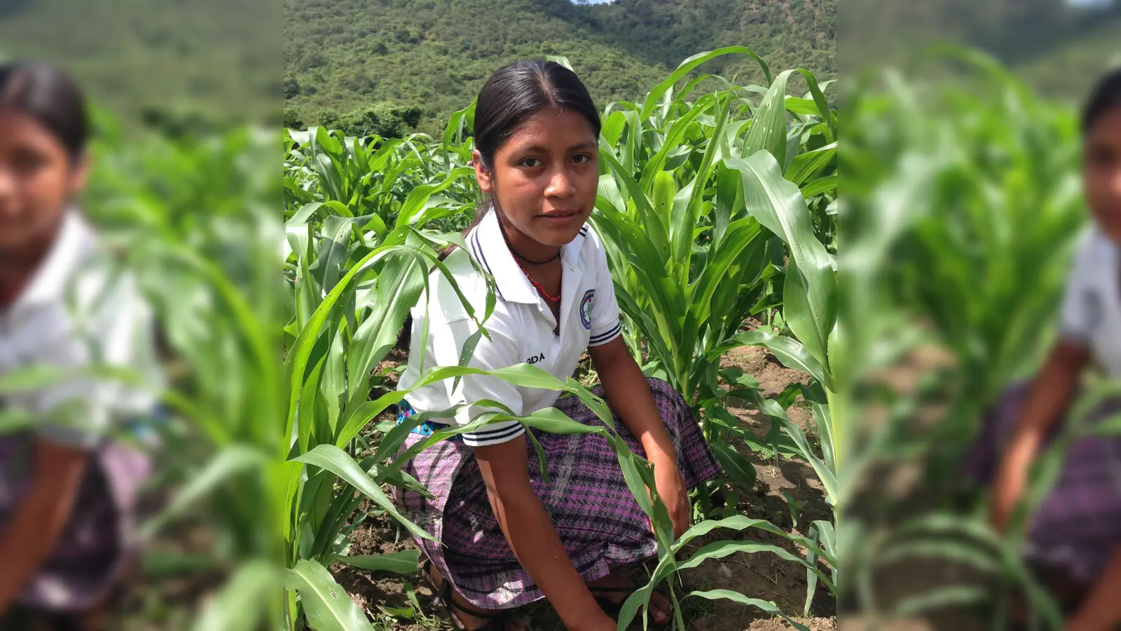 Die Saat geht auf! An der Fachschule für ländliche Entwicklung werden junge Maya für eine Zukunft in ihren Heimatgemeinden vorbereitet. Projekt der Fundación Nueva Esperanza.  (Foto: Hans Leipold, Elote e.V)