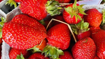 Vielleicht ist beim Sozialen Mittagstisch auch das eine oder andere Erdbeerchen als Nachtisch dabei. Saison dafür ist ja gerade. (Foto: hw)