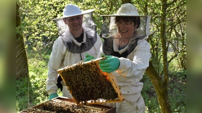 Die Bienen sind frühjahrsfit. Franz Albrecht und Bettina Weidinger (von links) am Lehrbienenstand. (Foto: Hauck)