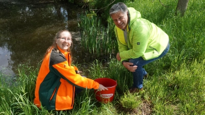 Entdeckten bei der Geschenkübergabe unzählige muntere Kaulquappen: Sandra Pfleghar und Bürgermeister Stefan Joachimsthaler. (Foto: Gemeinde Alling)