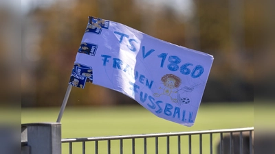 Aufstieg geschafft: TSV 1860 München II.  (Archivbild: Anne Wild)