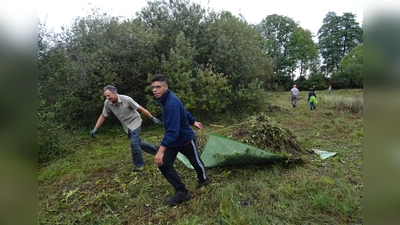 Knochenarbeit ist der Abtransport des Mähgutes bei den Pflegearbeiten. Der weiche Boden verbietet den Einsatz von schwerem Gerät. (Foto: kw )