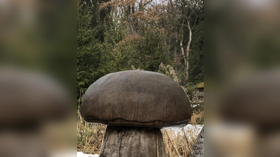 Also, der hier ist aus Holz. Wer echte Schwammerl gefunden hat und wissen will, ob sie auch essbar sind, ist bei der Pilzberatung richtig.  (Foto: hw)