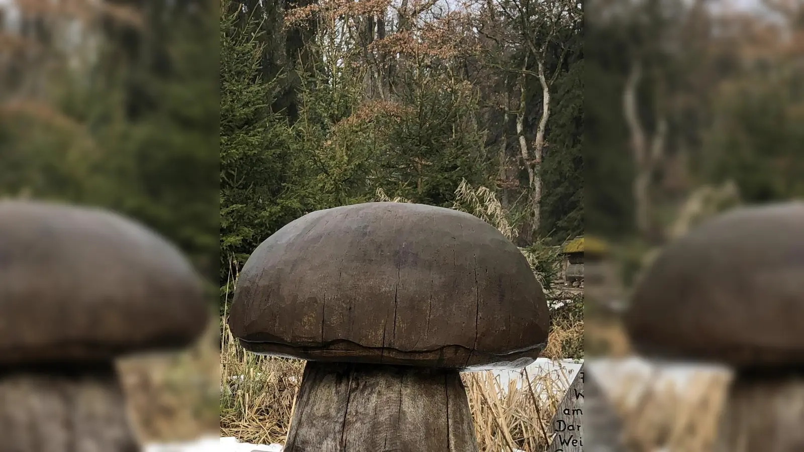 Also, der hier ist aus Holz. Wer echte Schwammerl gefunden hat und wissen will, ob sie auch essbar sind, ist bei der Pilzberatung richtig.  (Foto: hw)