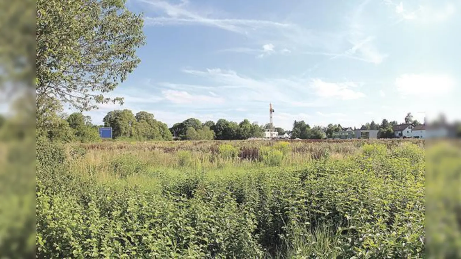 Heute noch blühende Landschaften, bald aber Großbaustelle? Die Planungen an der Münchberger Straße erregen die Gemüter. 	 (Foto: RedP)
