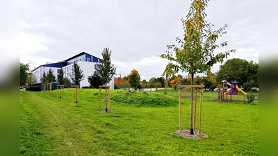 Zwischen Abenteuerspielplatz und Johanniterhaus wurden Bäume gepflanzt – ein Standort, welcher bereits 2024 als idealer Standort präsentiert wurde. (Foto: Gemeinde Herrsching)
