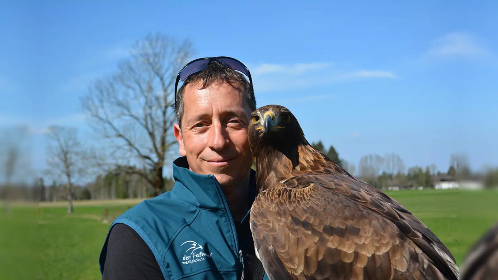 Falkner Paul Klima wird mit seinem Steinadler Bruno auf der Grünwalder Burg zu Gast sein.  (Foto: Bibiana Mayser)