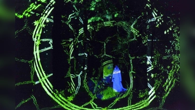 Poetische Videoinstallation der Videokünstlerin Manuela Hartel im Schlosspark Kempfenhausen. (Foto: Manuela Hartel)