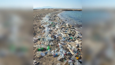 Plastikmüll ist schon längst ein globales Umweltproblem. Auch in Bayern: Alleine in München fallen jährlich 42.000 Tonnen Verpackungsmüll an.  (Foto: gemeinfrei)