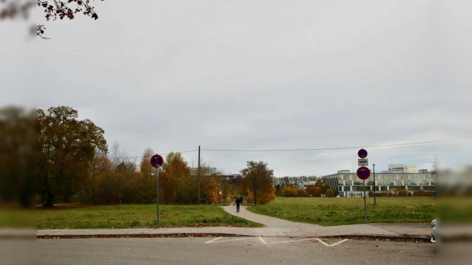 Auf der grünen Wiese an der Lena-Christ-Straße sollen später drei Busse wenden und der Westeingang der U-Bahn liegen. Aufzug und Parkmöglichkeiten liegen allerdings Am Klopferspitz. Das soll nachgebessert werden, damit die kleinen Straßen in Martinsried nicht zu stark belastet werden. (Foto: us)
