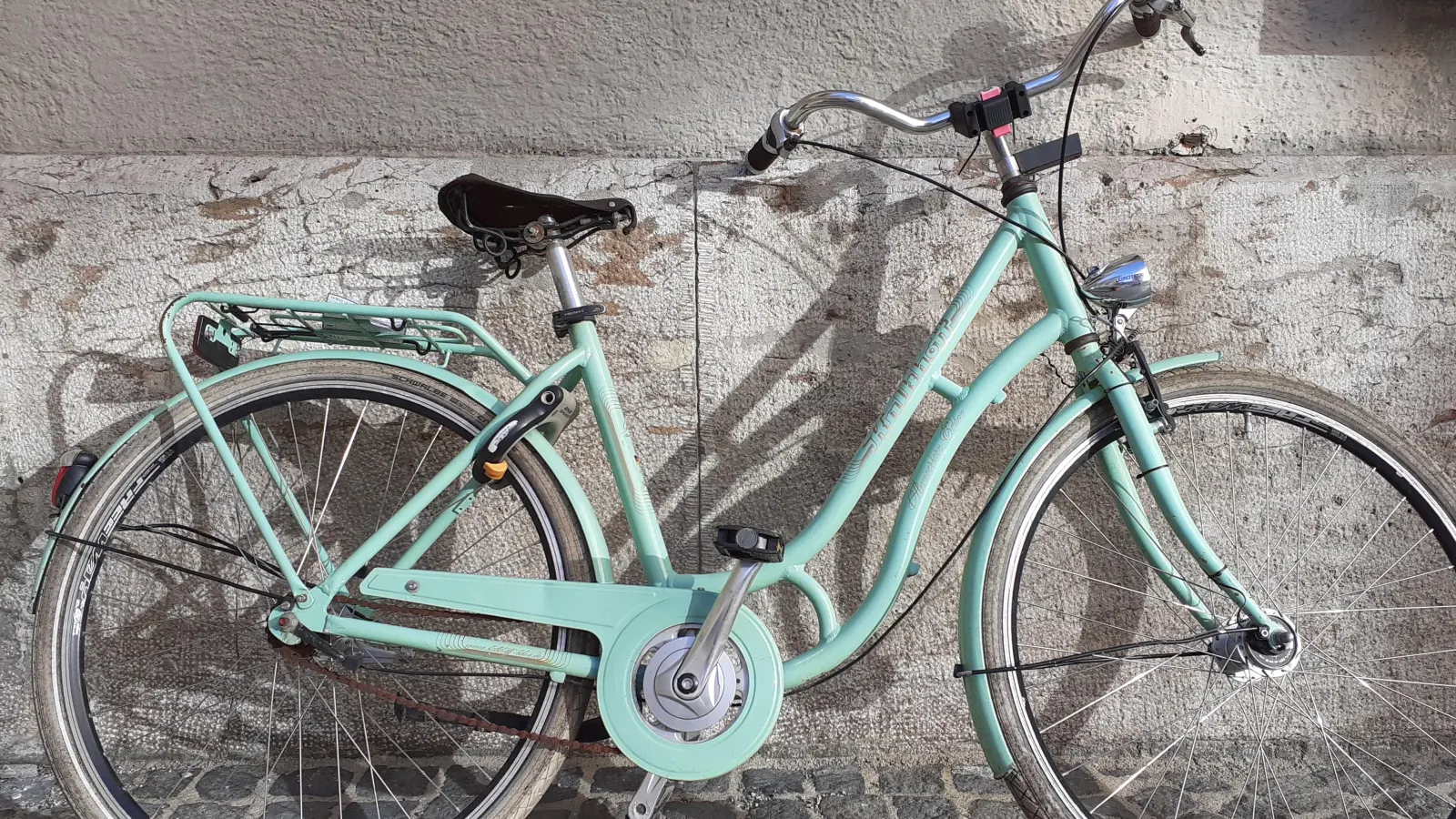 Statt dem Auto lieber öfter mal das Fahrrad nutzen dient der Gesundheit, spart Geld und schützt das Klima. Die Teilnehmer der Aktion Stadtradeln haben gezeigt, dass das sehr gut funktionieren kann.  (Foto: mha)