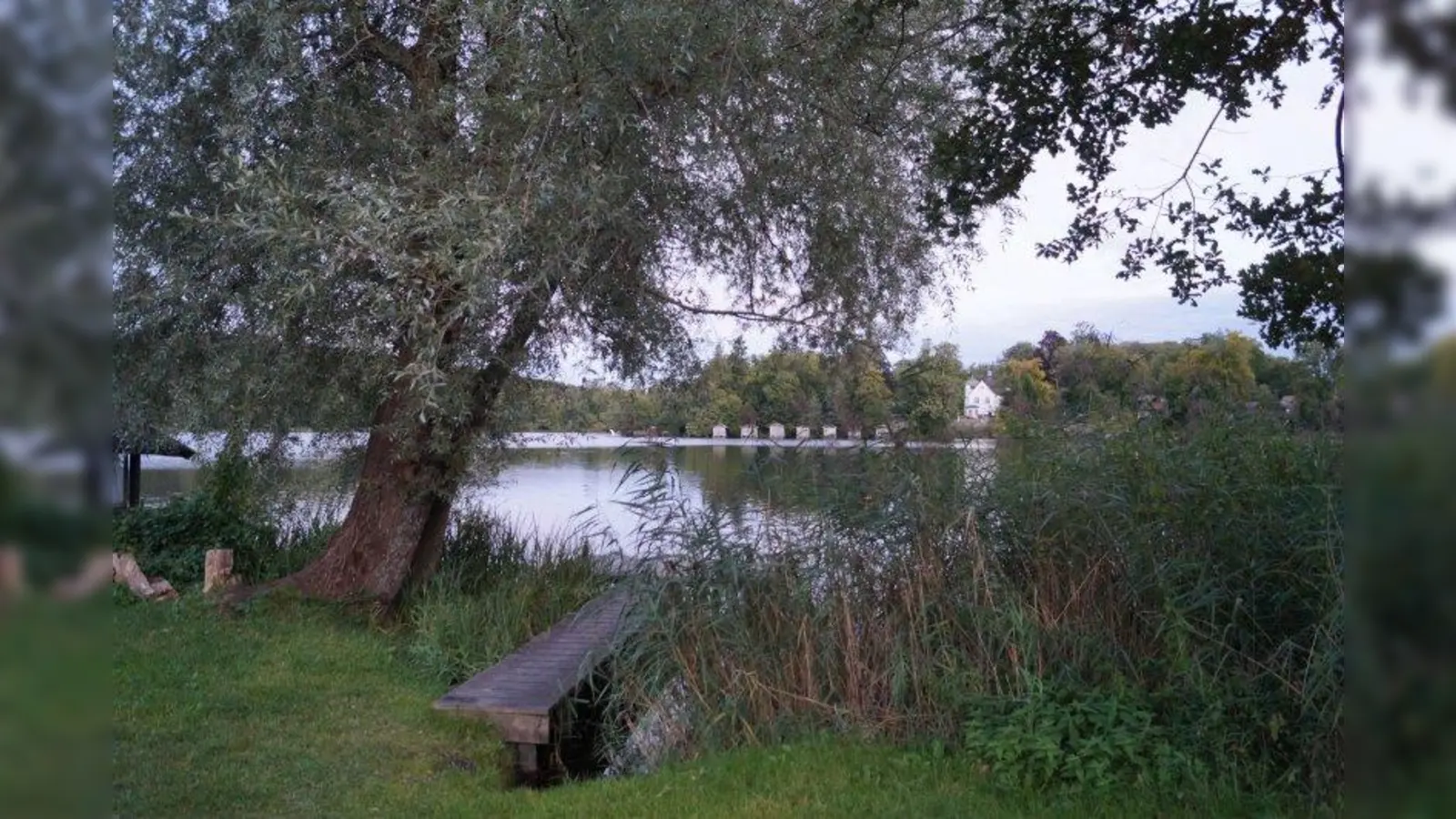 Der Lauf um den idyllischen Weßlinger See fand dieses Jahr bereits zum 26. Mal statt. (Foto: pst (Archiv))