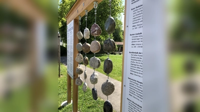 Spannende Infos, leicht verständlich aufbereitet, so präsentiert sich der Geo-Lehrpfad. (Foto: hw)