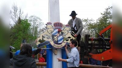 Am 1. Mai, ab 11 Uhr, stellt der Inninger Ortsteil Bachern wieder einen eigenen Maibaum auf. Anhänger der bayerischen Tradition, die bei jedem Wetter feiern wollen, finden im Lautenbacher Hof beste Bedingungen vor. Im Garten oder im großen Saal lassen sich bayerische Schmankerl genießen während die „Titus Waldenfels Band“ für ausgelassene Feiertagsstimmung sorgt.<br><br>Bald werden die Bacherner den vom Grafen zu Toerring-Jettenbach gestifteten Baum aus dem Wald holen. Dann beginnt in dem schönen Inninger Ortsteil wieder eine ganz besondere Zeit. Gemeinsam wird der Baum bewacht und geschmückt, während nebenbei die Vorbereitung zur Maifeier laufen. (Foto: Lörch)