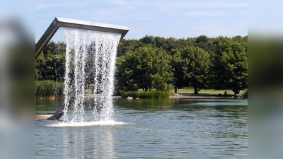Den Seen im Westpark geht der Sauerstoff aus. (Foto: job)