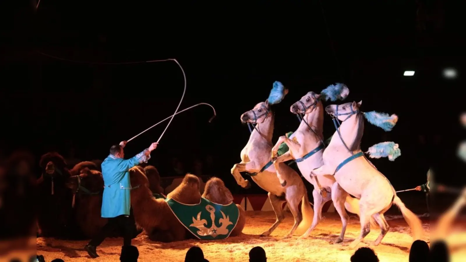 Ein Hauch Exotik gehört natürlich auch zum Circus.  (Foto: VA)