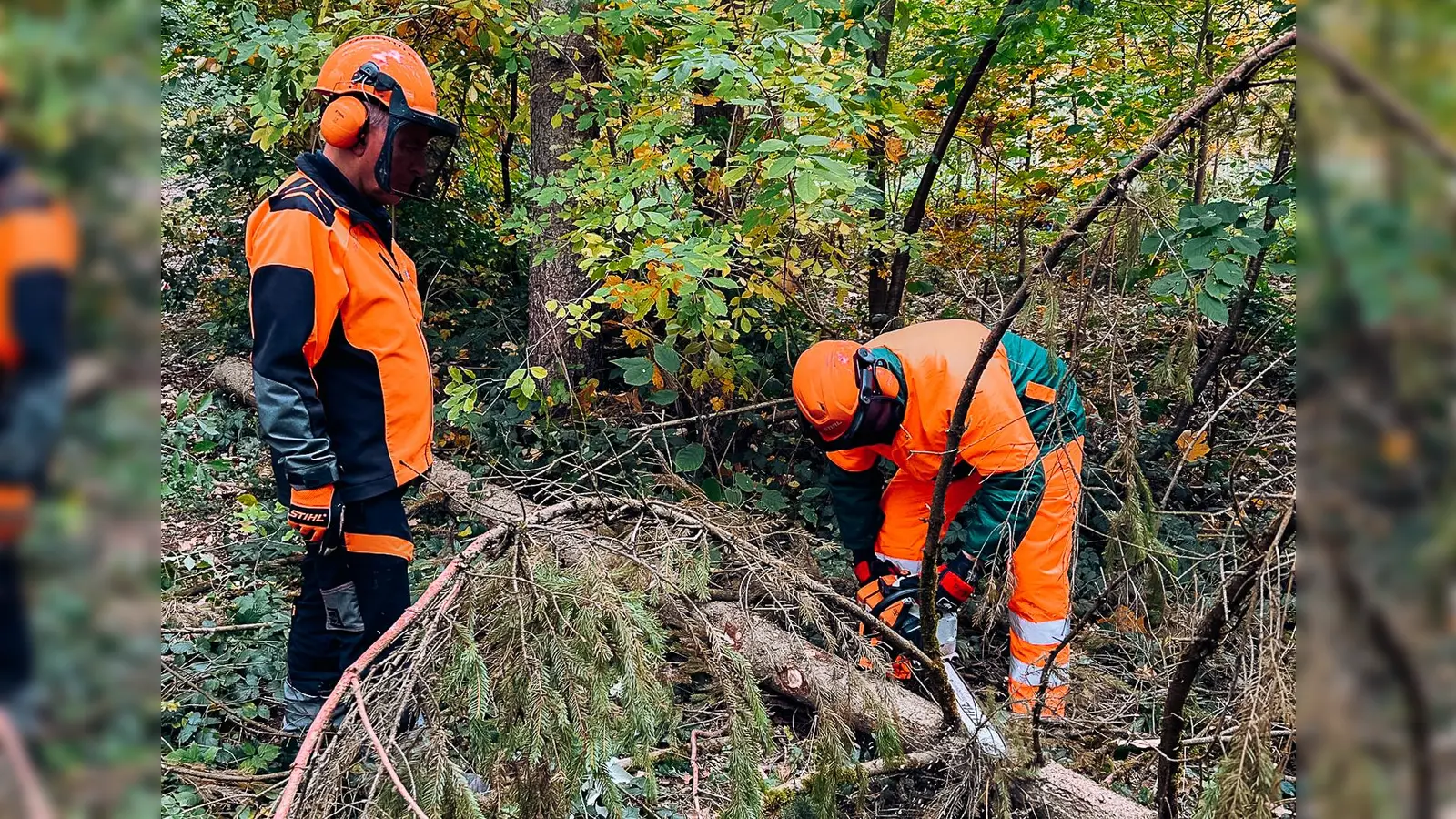 Die Feuerwehrler erlernten das richtige Schneiden von Holz unter Spannung.  (Foto: KBI Dachau)
