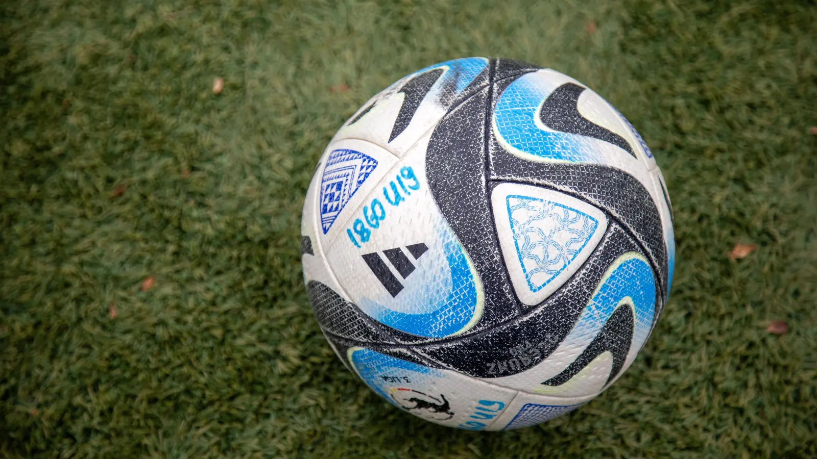 Erfolgreicher Nachwuchsfußball: U19-Junglöwen.  (Foto: Anne Wild)