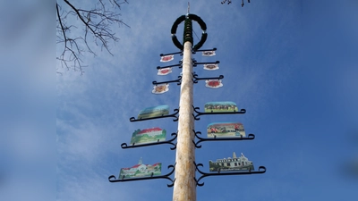 Die Laimer Maibaumfreunde richten das traditionelle Maifest am Laimer Anger aus. Beginn ist ab 11 Uhr. (Foto: Beatrix Köber)
