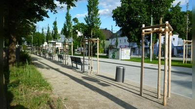 Statt der Kiesflächen sollten am Willibaldplatz mehr Pflanzen wachsen, das beantragte ein Bürger bei der diesjährigen Bürgerversammlung. (Foto: Beatrix Köber)