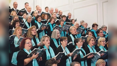 Der Chor von St. Emmeram singt die Nelsonmesse von Joseph Haydn (kleines Bild oben).	 (Foto: VA, gemeinfrei)
