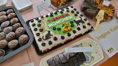 Mit etwas Süßem Gutes tun: Der Tierschutzverein München freut sich über Kuchenspenden für das Gnadenhoffest am 19. Oktober. (Foto: Tierschutzverein München)