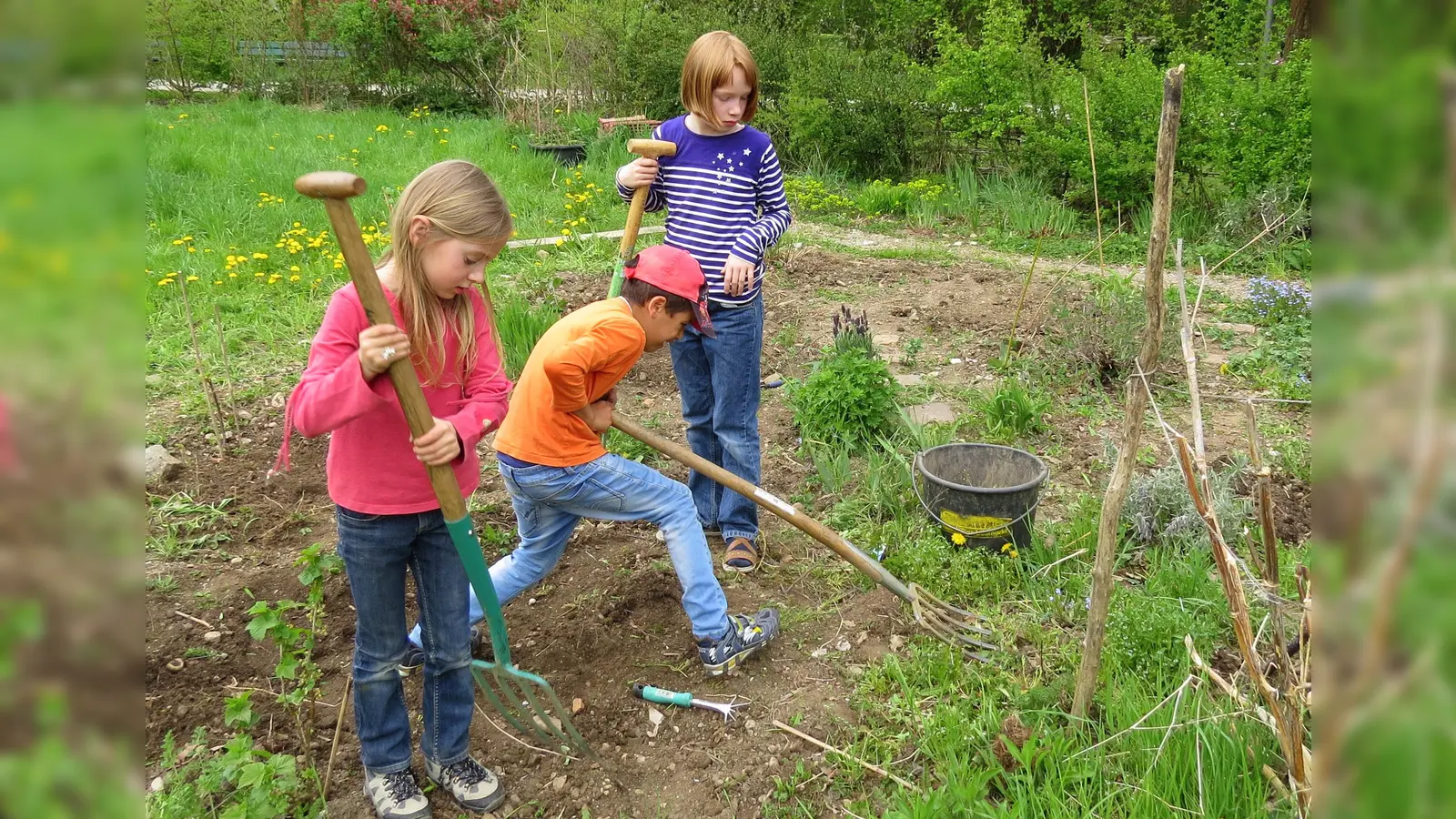Am ÖBZ graben, pflanzen und ebnen die Kinder Beete für Kartoffeln, Zucchini und Kürbisse. (Foto: Jasmin Mena Sauterel)