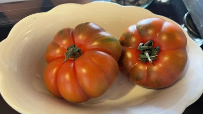Wer Tomaten selber ziehen will, sollte die Führung mit Thorsten Thron nicht verpassen. (Foto: hw)