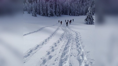 Einsam seine Spuren ziehen ist das höchste der Gefühle beim Schneeschuhwandern.  (Foto: TSV Feldkirchen)