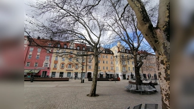 Der Harras: ein Platz mit wenig Schatten auf dem größten Teil seiner Fläche. (Foto: job)