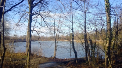 Im Auwald in der Nähe des Poschinger Weihers stehen aktuell dringliche Waldpflegemaßnahmen an. (Archivbild: bas)