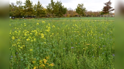 Was gibt es schöneres, als die ersten Sonnenstrahlen im Frühling auf dem Radl zu genießen? Die Fahrradkarte der NordAllianz bietet dazu schöne Touren-Vorschläge.  (Foto: Daniel Mielcarek)