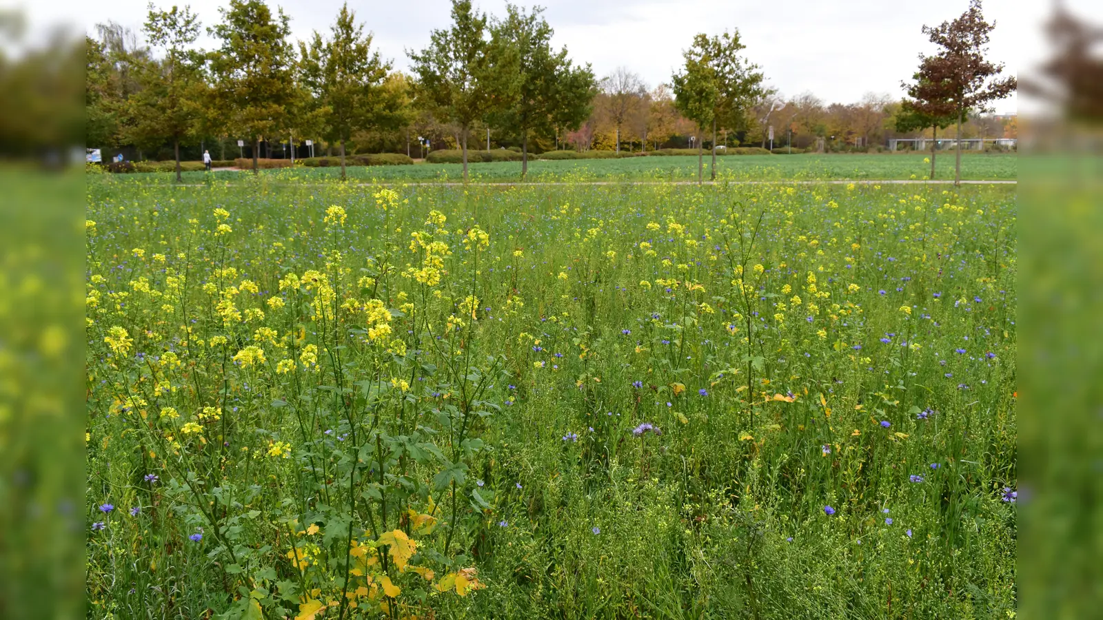 Was gibt es schöneres, als die ersten Sonnenstrahlen im Frühling auf dem Radl zu genießen? Die Fahrradkarte der NordAllianz bietet dazu schöne Touren-Vorschläge.  (Foto: Daniel Mielcarek)