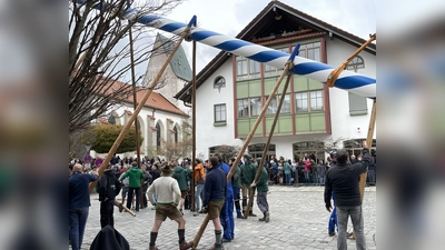 Viel Fingerspitzengefühl ist notwendig, um dem Maibaum sicher zu positionieren.  (Foto: hw)