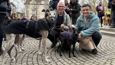 Setzen sich für die Galgos ein: Demonstranten mit Windhunden. (Foto: Tierschutzverein München e.V.)