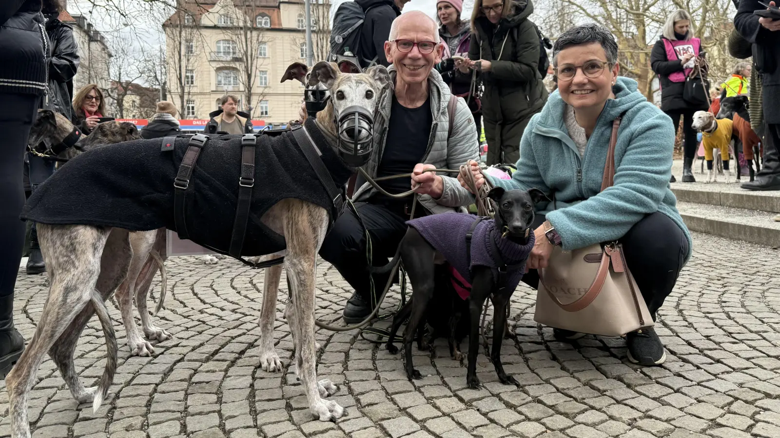 Setzen sich für die Galgos ein: Demonstranten mit Windhunden. (Foto: Tierschutzverein München e.V.)