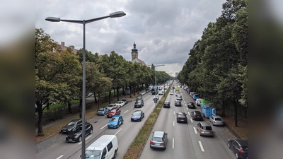 terz (Foto: Nima Lirawi )