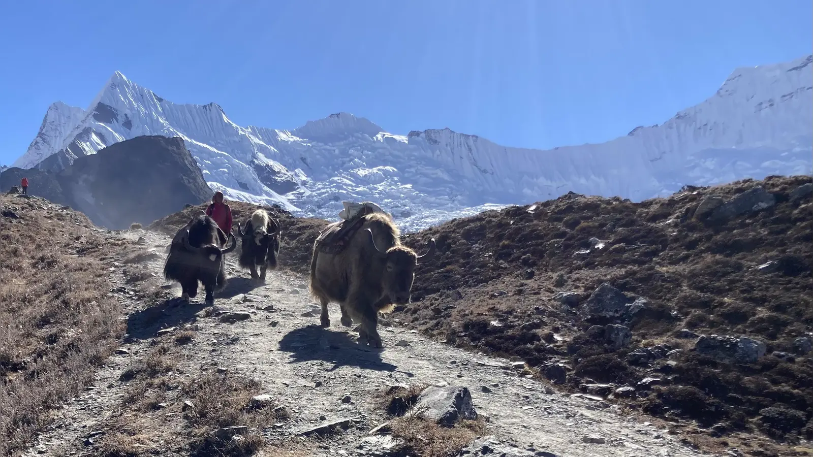 Am 1. März lädt Gabie Hafner zu einer Bilderreise nach Nepal ins Seehäusl ein. (Foto: G.Hafner)