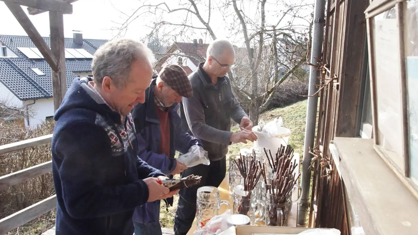 Sepp Höschl (r.) hatte zahlreiche Reiser von verschiedenen Obstbäumen mitgebracht. (Foto: bro)