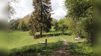 Wunderbare Landschaft rund um Wartenberg, erschlossen von bequemen Wanderwegen, die auch Kinder bewältigen können. (Foto: kw)