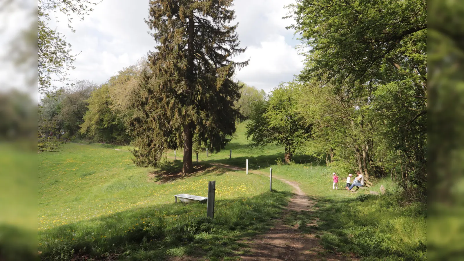 Wunderbare Landschaft rund um Wartenberg, erschlossen von bequemen Wanderwegen, die auch Kinder bewältigen können. (Foto: kw)