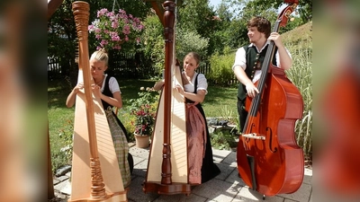 Zweimal Harfe, einmal Kontrabass: das ist der Boarische Hafendreiklang. (Foto: Boarischer Hafendreiklang)