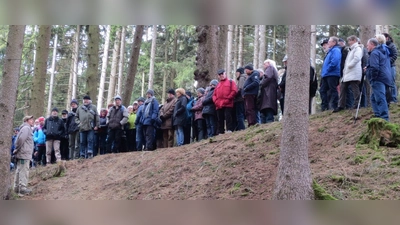 An einem wahrhaft historischen Ort erfuhren die Exkursionsteilnehmer viel über die Wallanlagen von Auerbach. (Foto: privat)
