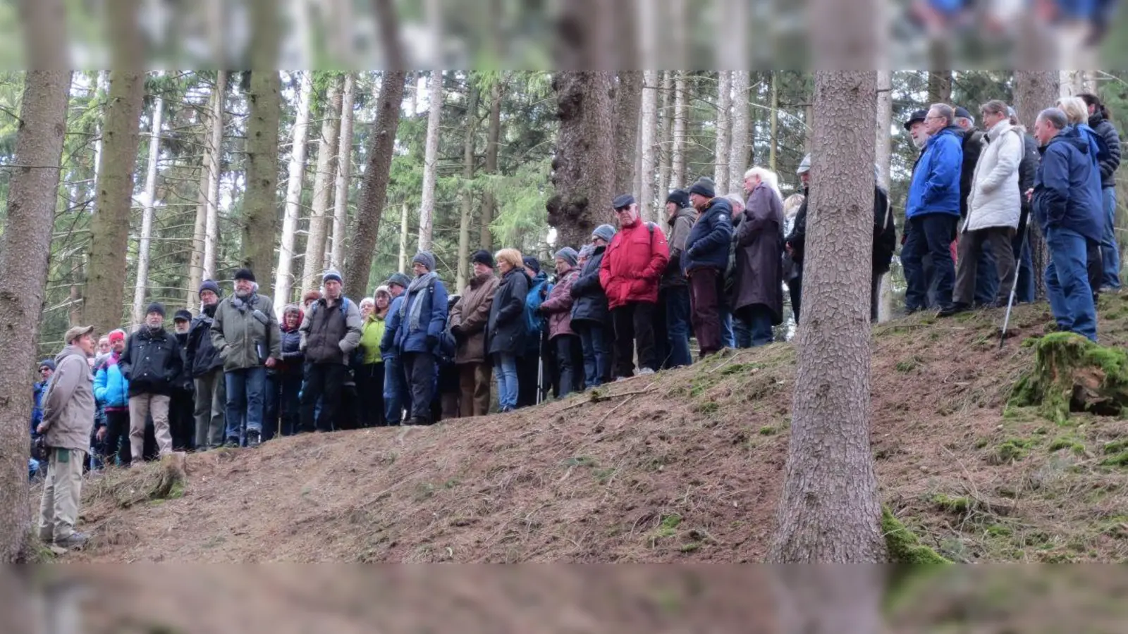 An einem wahrhaft historischen Ort erfuhren die Exkursionsteilnehmer viel über die Wallanlagen von Auerbach. (Foto: privat)