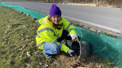 Koordinatorin Sabine Schmid-Zeller kontrolliert die Eimer, in denen die Tiere gesammelt werden. (Foto: Gemeinde Krailling/Solveig Butzert)