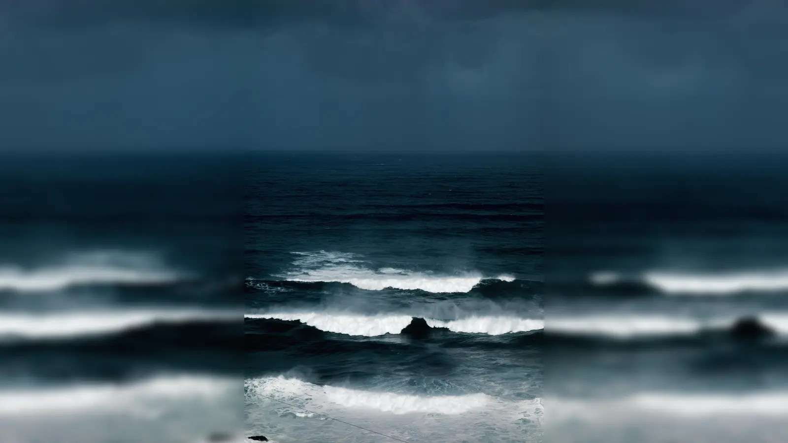 „Gründeln 1” nennt sich diese Aufnahme von Moritz Holfelder, die am Starnberger See entstanden ist. (Foto: Holfelder)