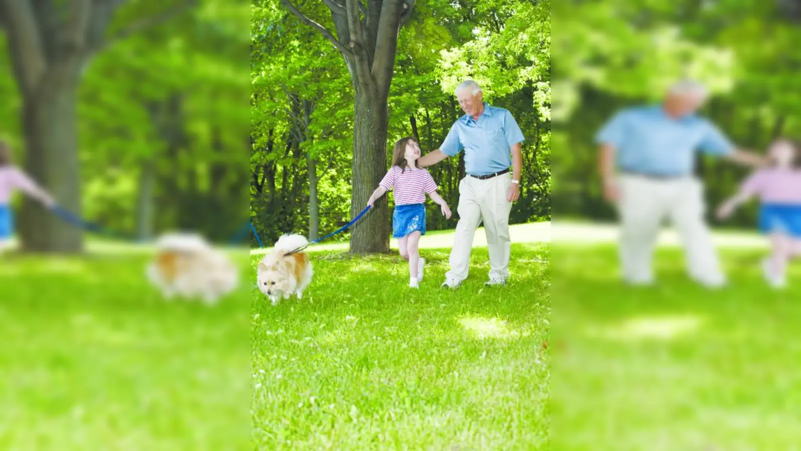 Viele alte Leute haben den Kontakt zu Kindern verloren. Dabei wünschen sie sich gemeinsame Aktivitäten. (Foto: photos.com)