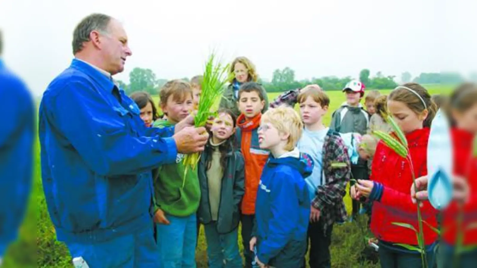 Verschiedene Getreidesorten lernten die Kinder auf dem Krauthof kennen. (Foto: pi)