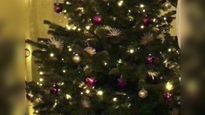 Noch strahlt er in vollem Glanze, doch bald ist die Zeit des Christbaums wieder vorbei. (Foto: privat)