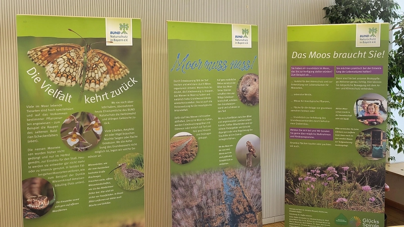 Der Bund Naturschutz, Kreisgruppe Freising, informiert über den „Alleskönner Moor”. (Foto: Stadt Freising)